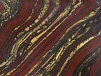 Tiger Iron Stromatolite Shower Tile - Billion Years Old #48798-1